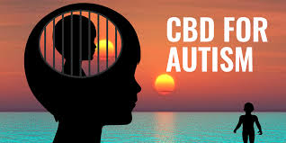 Cannabidiol (CBD) for Autism and Related Immune Disorders